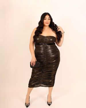 Taryn Sheer Dress 933259