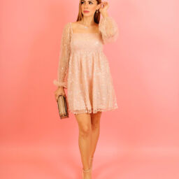 Sparkling Dress 2219